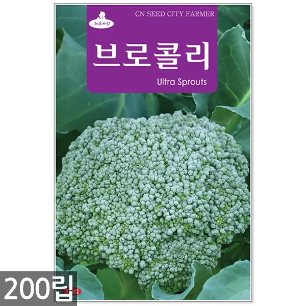 5종 모듬 치커리 씨앗 1500립 / 채소씨앗 채소씨 엔다이브 쌈채소씨앗, 09_브로콜리(200립)