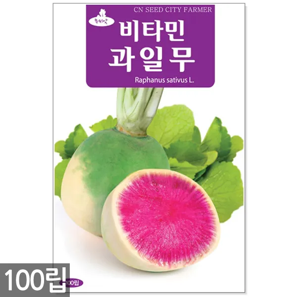 청농종묘 노랑 초당옥수수 씨앗 100립 초당옥수수씨앗 노랑옥수수씨앗 옥수수씨앗 옥수수씨 07_비타민과일무 100립 