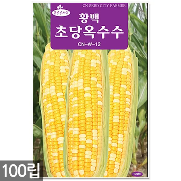 청농종묘 과일무 씨앗 100립 과일무씨앗 수박무씨앗 씨 무씨앗 무 과일무씨 수박무씨, 14_황백초당옥수수(100립)