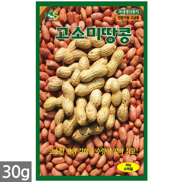 청농종묘 과일무 씨앗 100립 과일무씨앗 수박무씨앗 씨 무씨앗 무 과일무씨 수박무씨, 04_고소미땅콩(30g)