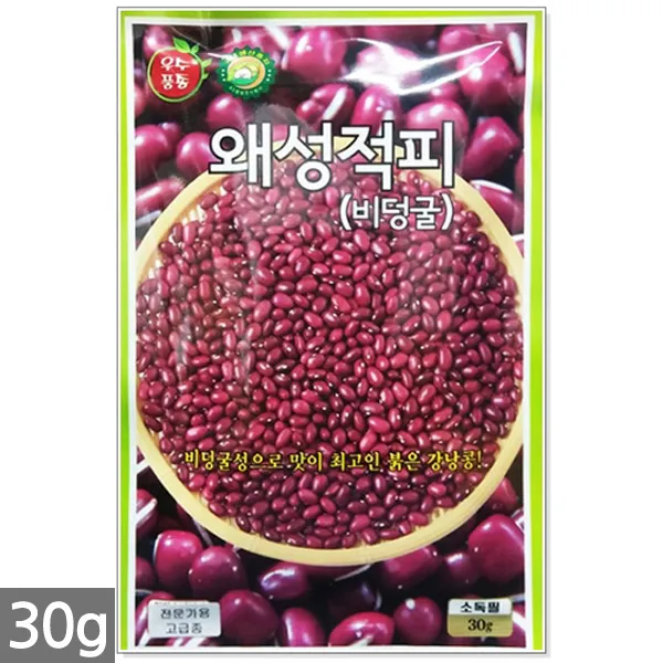 청농종묘 과일무 씨앗 100립 과일무씨앗 수박무씨앗 씨 무씨앗 무 과일무씨 수박무씨, 03_왜성적피강낭콩(30g)