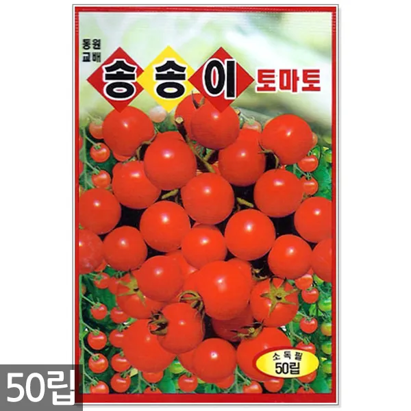 청농종묘 과일무 씨앗 100립 과일무씨앗 수박무씨앗 씨 무씨앗 무 과일무씨 수박무씨 09_송송이방울토마토 50립 
