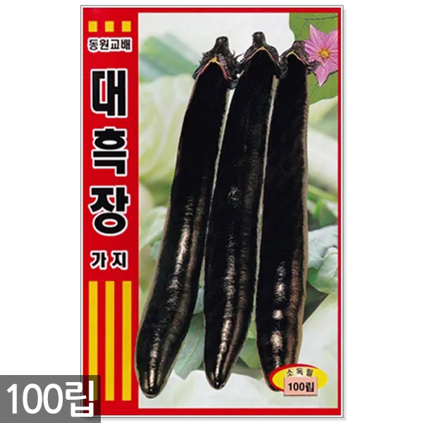 청농종묘 노랑 초당옥수수 씨앗 100립 초당옥수수씨앗 노랑옥수수씨앗 옥수수씨앗 옥수수씨 11_대흑장가지 100립 