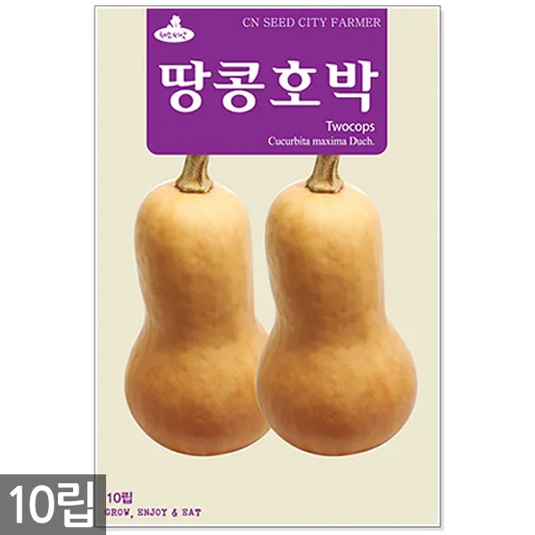 청농종묘 과일무 씨앗 100립 과일무씨앗 수박무씨앗 씨 무씨앗 무 과일무씨 수박무씨, 13_땅콩호박(10립)