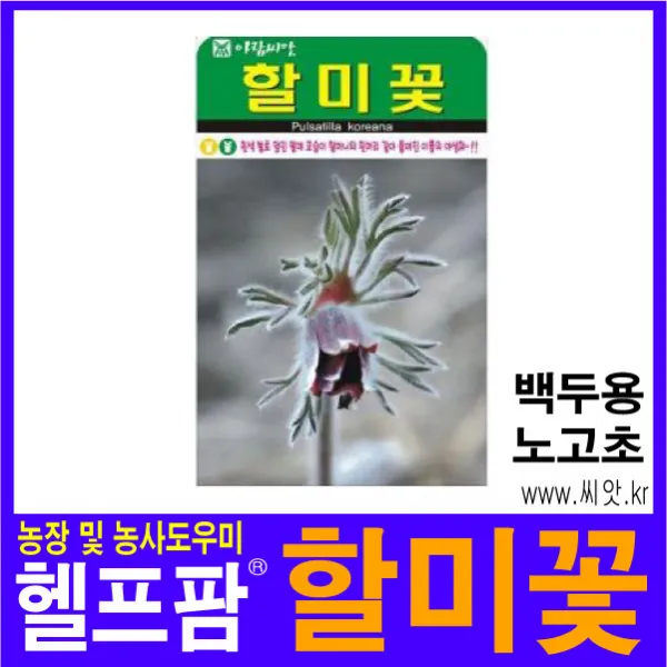 헬프팜 할미꽃 50립 종자 씨앗 백두옹 노고초 씨앗