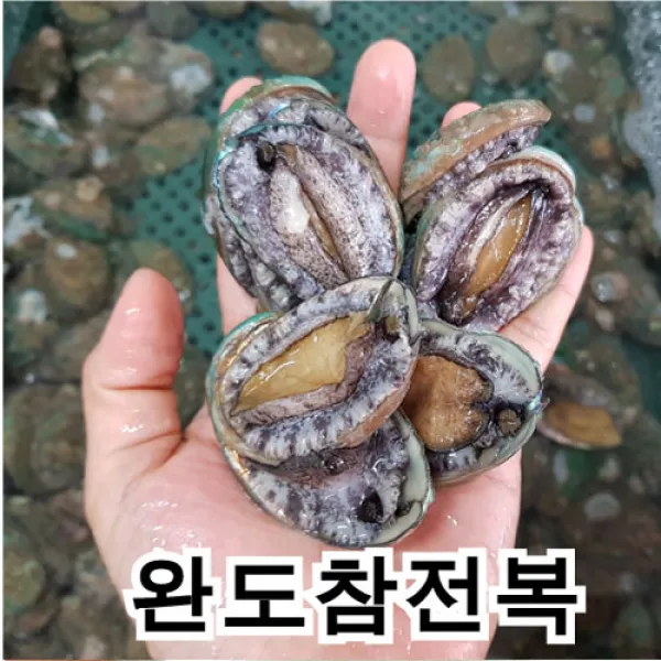 남도전복 전복 B 1kg 총40~80마리 1box