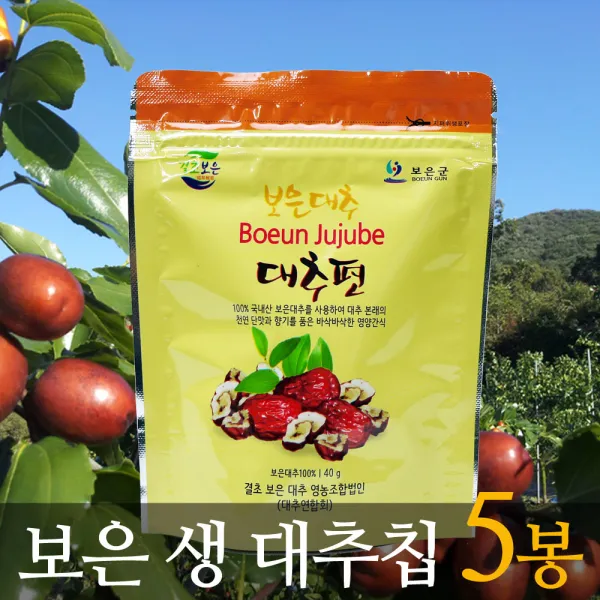 보은황토 생대추 생대추칩 40g, 1봉, 200g(40gx5)