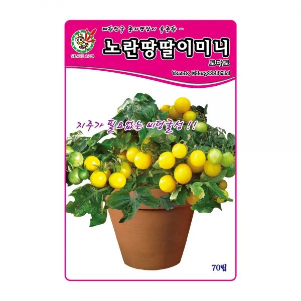 제일종묘 토마토씨앗 (노란)땅딸이-미니토마토 70립