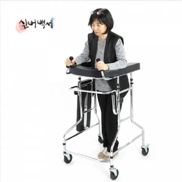 DS 고령자용 보행차 실버백세 DH-403, 1개