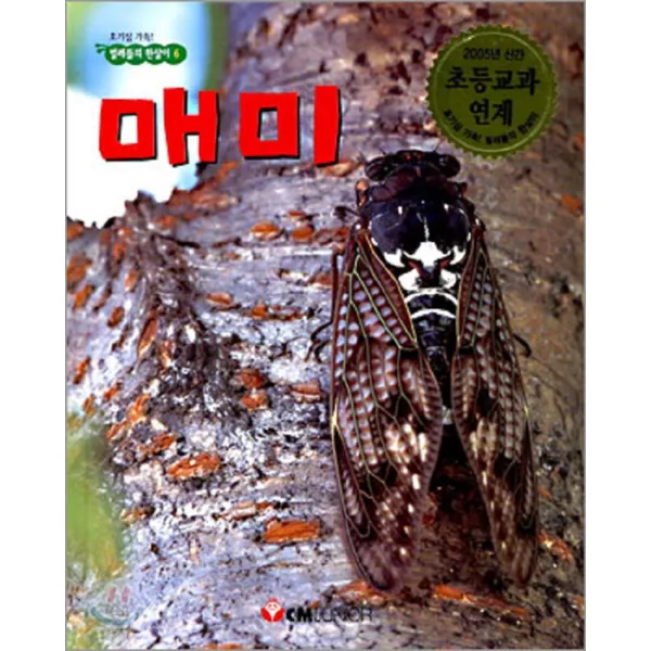 엘리트북 매미 (호기심가득 벌레들의 한살이 6)