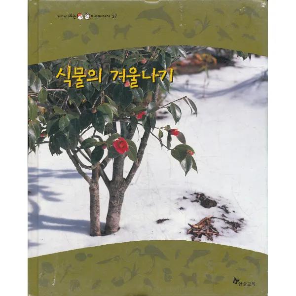 엘리트북 식물의 겨울나기 (가까이보는 자연이야기 37)(양장본)