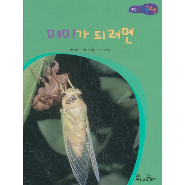 엘리트북 매미가 되려면 (양장본)