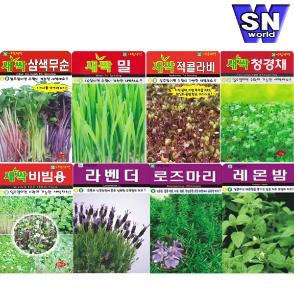 SN월드 씨앗 새싹 허브씨앗 ( 삼색무순 비빔용 라벤더 로즈마리 박하 등), 새싹-홍염무