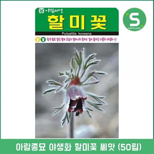 솔림텃밭몰 할미꽃씨앗 50립 할미꽃 꽃씨앗 꽃씨 야생화