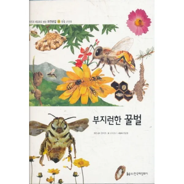 엘리트북 부지런한 꿀벌 (사진과 세밀화로 보는 자연관찰 36 - 동물 곤충류) 양장본