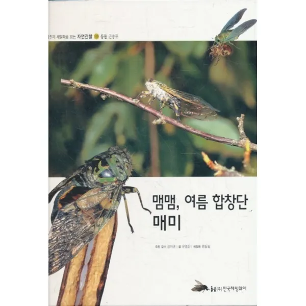 엘리트북 맴맴 여름 합창단 매미 (사진과 세밀화로 보는 자연관찰 39 - 동물 곤충류) 양장본