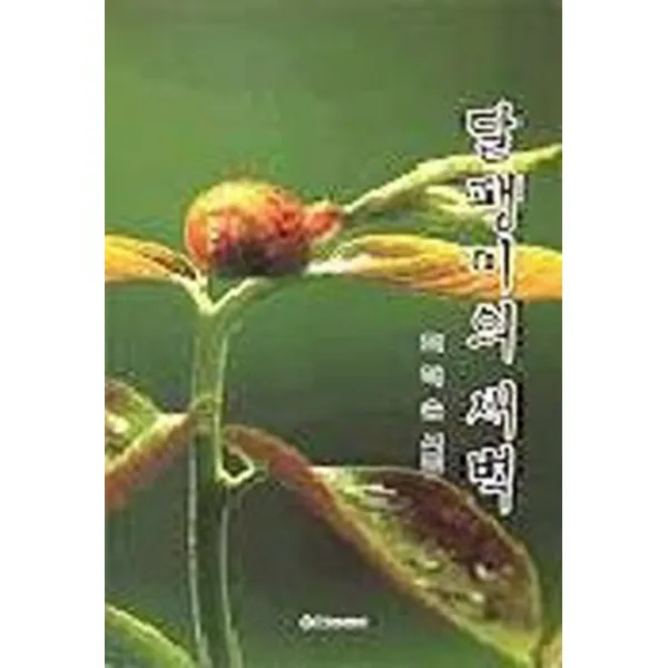 엘리트북 시)달팽이의 새벽