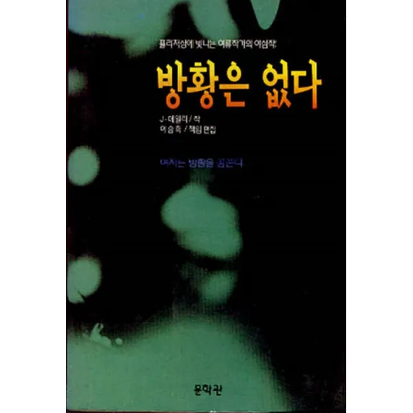 엘리트북 방황은 없다 (퓰리처상에 빛나는 여류작가의 야심작)