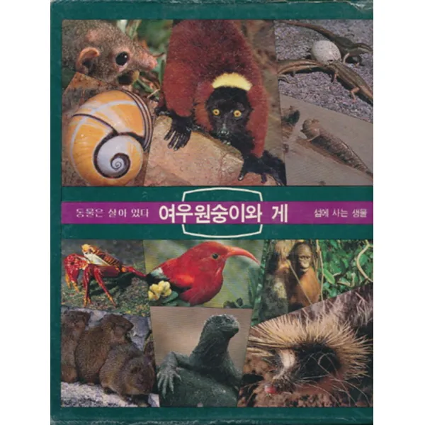엘리트북 동물은 살아 있다 여우원숭이와 게 - 섬에 사는 생물 (라이프 세계의 야생동물) 양장본