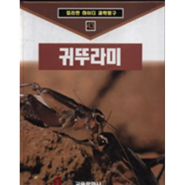 엘리트북 귀뚜라미(양장본)-컬러판 하이디 과학탐구43