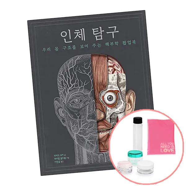 인체 탐구 (선물증정) 해부학 팝업북 어린이 책 도서 비룡소, 단품