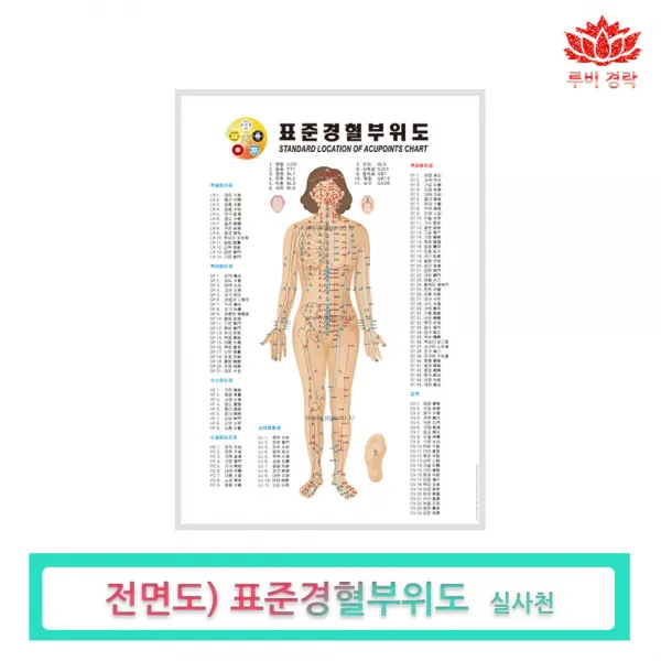 루비경락 경혈부위도-마사지 도구 피부관리실 에스테틱, 경혈부위도(앞면), 1개