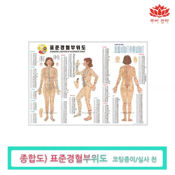 루비경락 경혈부위도, 경혈부위도(종합도), 1개
