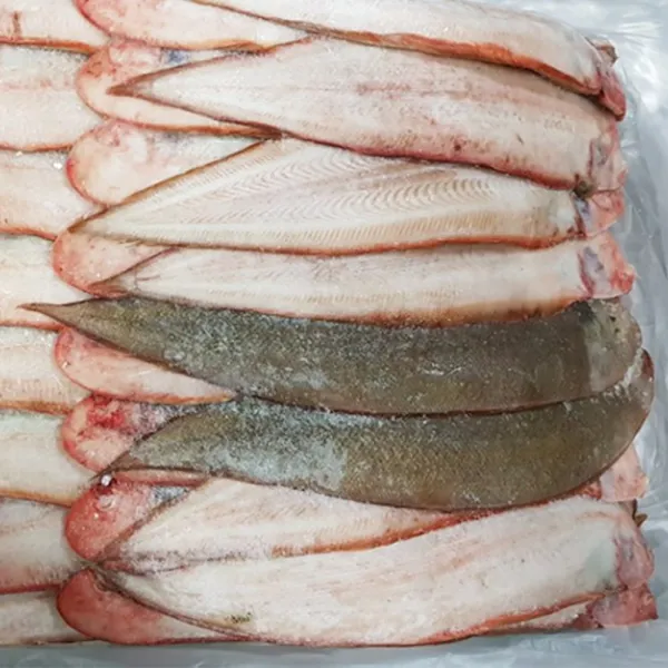 자갈치닷컴 업소용 냉동 서대, 1개, 3P (95마리전후) 25cm전후