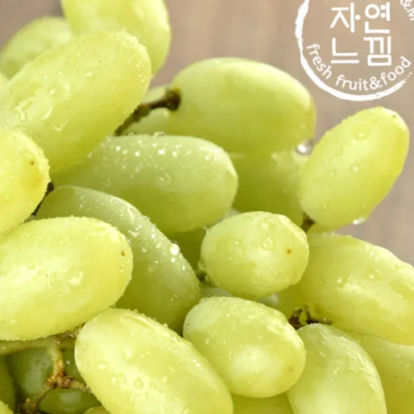 스프링타임 [자연느낌]씨없는 청포도 2kg, 단품