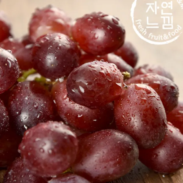 스프링타임 [자연느낌]씨없는 적포도 2kg, 단품