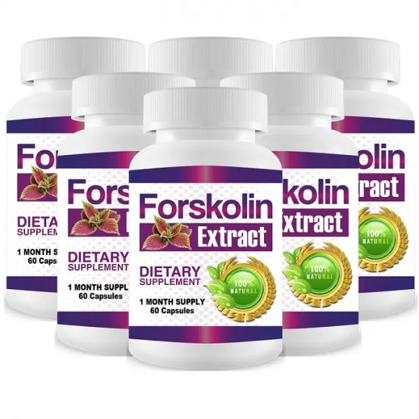 순수한 forskolin 추출물 ** 3 개월 공급량 **, 단일상품