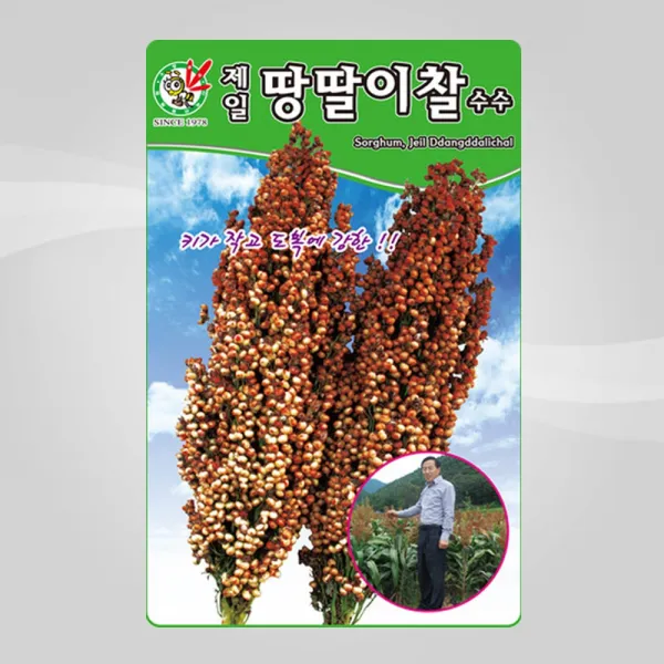 수수 씨앗 땅딸이찰수수 20g