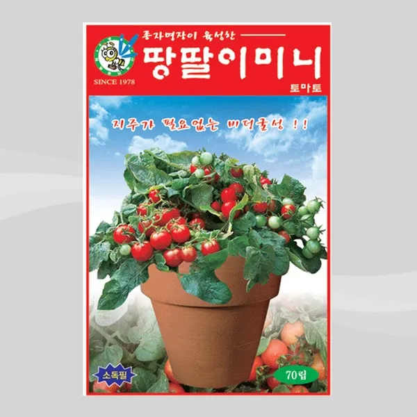 토마토 씨앗 땅딸이 미니토마토 70립