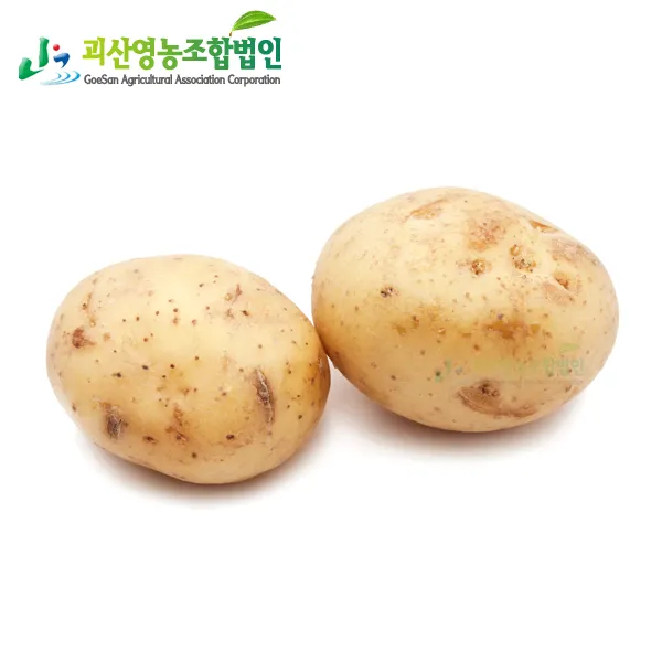 괴산 청정 수미감자 밭에서 바로 수확 발송 무선별, 2019년5월순차발송예약, 03_특대 5kg야구공전후