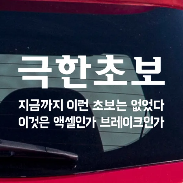 모노먼트 초보운전 스티커 - 극한초보, M_흰색