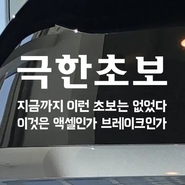 모노먼트 초보운전 스티커 - 극한초보, L_흰색(대형)