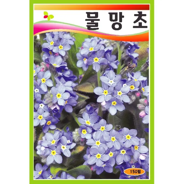 씨앗 물망초 150립