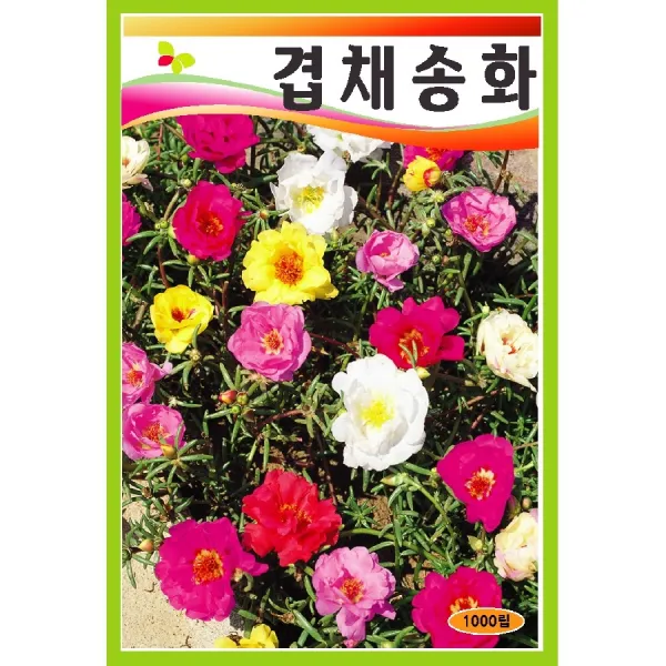 씨앗 겹채송화 혼합 1000립