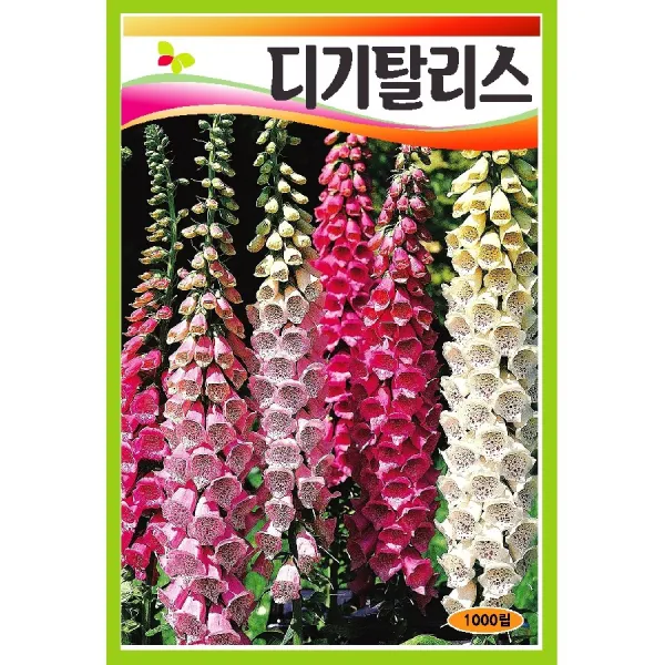 씨앗 디기탈리스 혼합 1000립