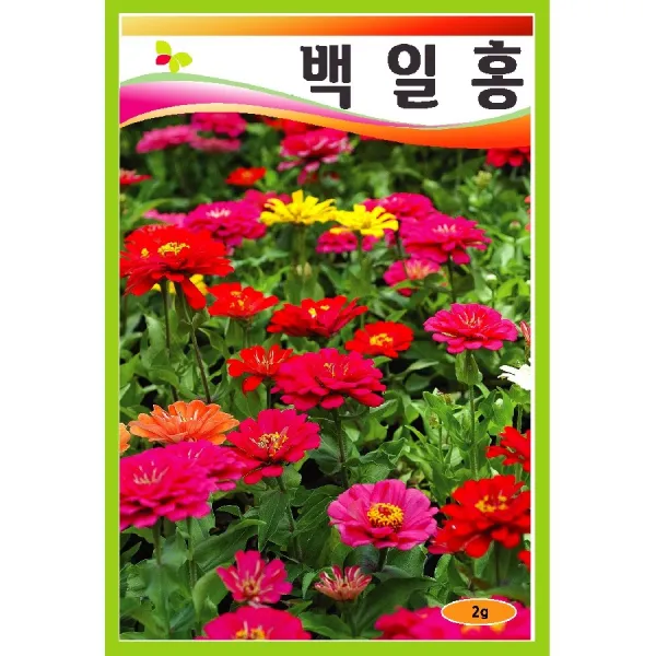 씨앗 백일홍 일반종 혼합 2g