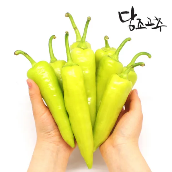 농부의꿈 모악산 당조고추 당뇨고추 중상품 1kg 1개
