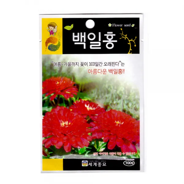 모칸도 (무배)세계 백일홍 꽃씨 100립