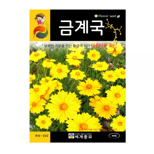 모칸도 (무배)세계 금계국 꽃씨 300립