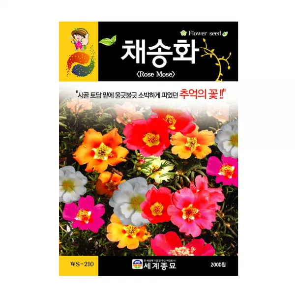 모칸도 (무배)세계 채송화 꽃씨 (2000립)