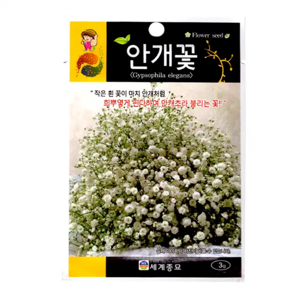 모칸도 (무배)세계 안개꽃 꽃씨 (3g)