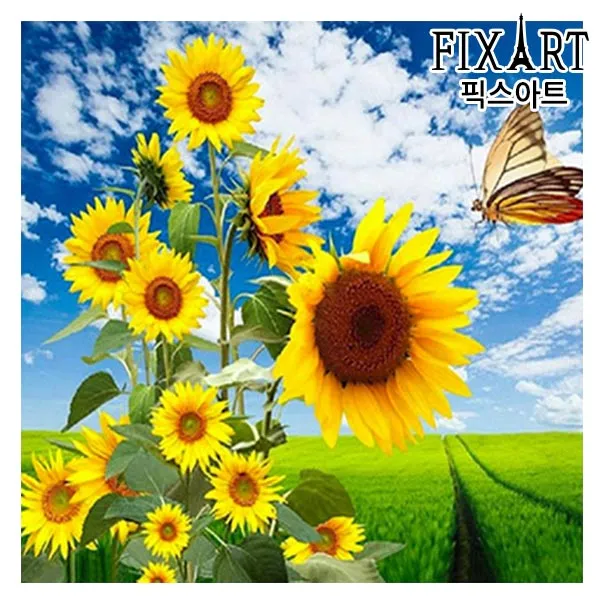 픽스아트 보석십자수 3d전체도안 1세트 해바라기동산 40x40cm _원형비즈