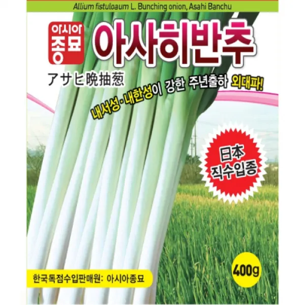 대파씨앗종자 외대파 아사히반추 (80g)