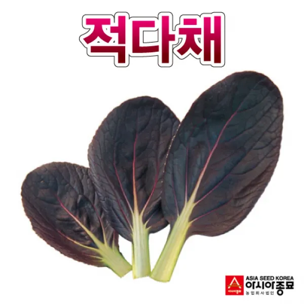 다채씨앗종자 적다채 (4000립)